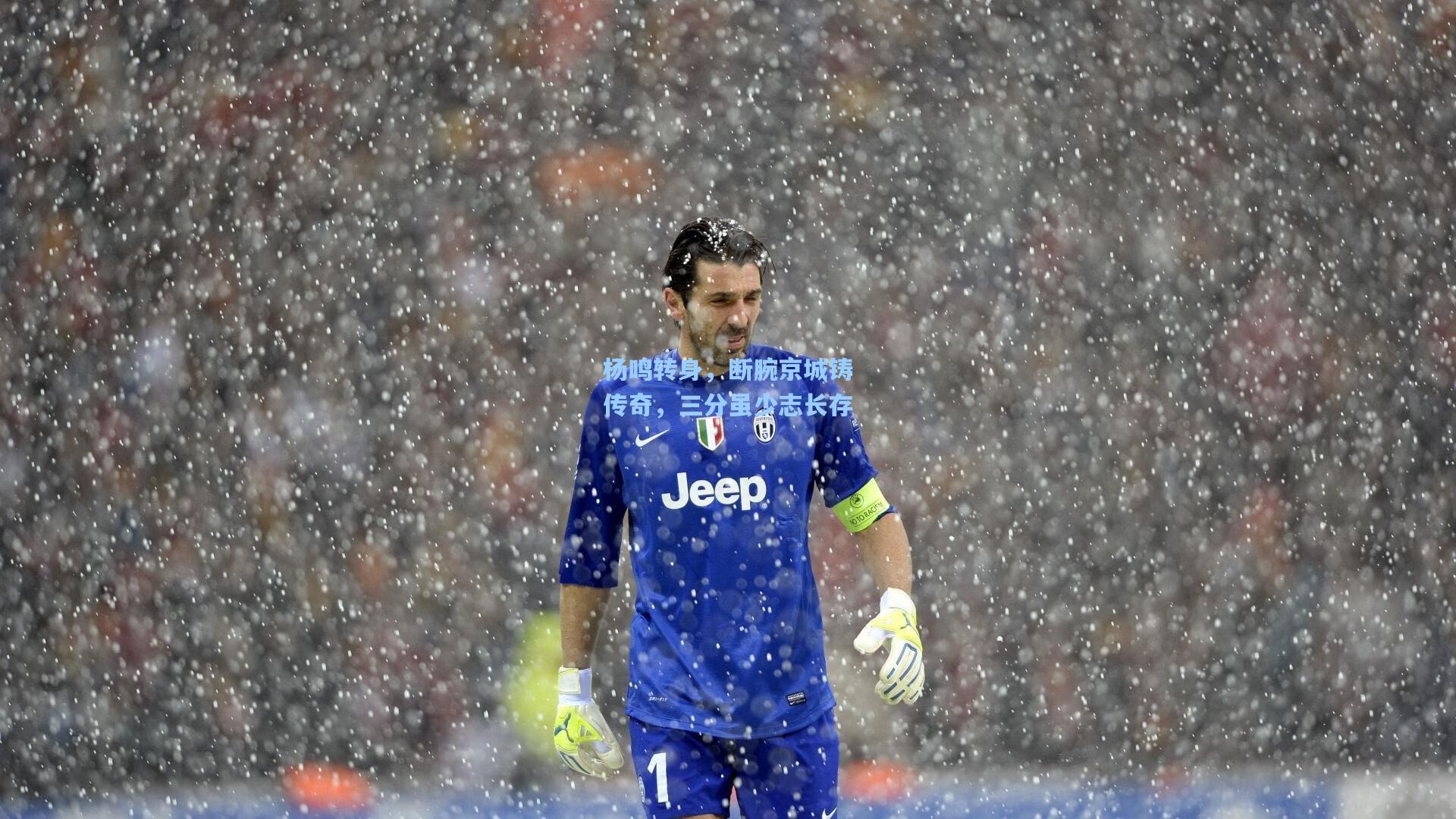 杨鸣转身,断腕京城铸传奇,三分虽少志长存