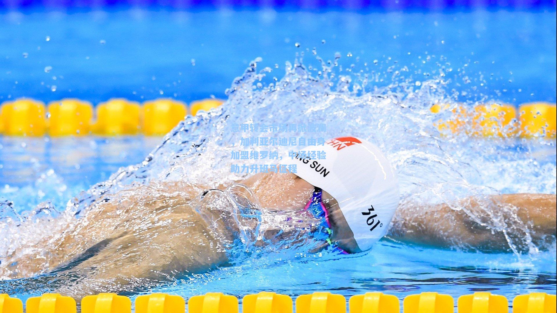 意甲转会市场再掀波澜，加利亚尔迪尼自由身加盟维罗纳，中场经验助力升班马征程